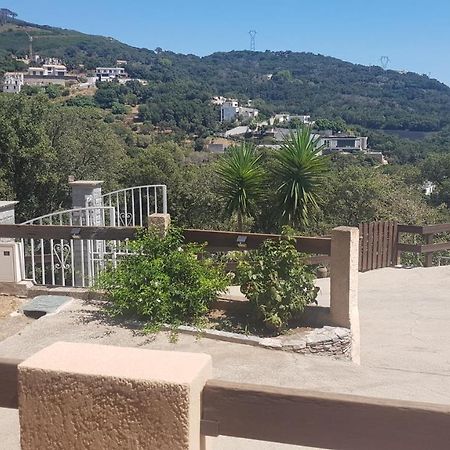 Bas De Villa Chez Mr.Girolami Dominique Bastia  Eksteriør billede