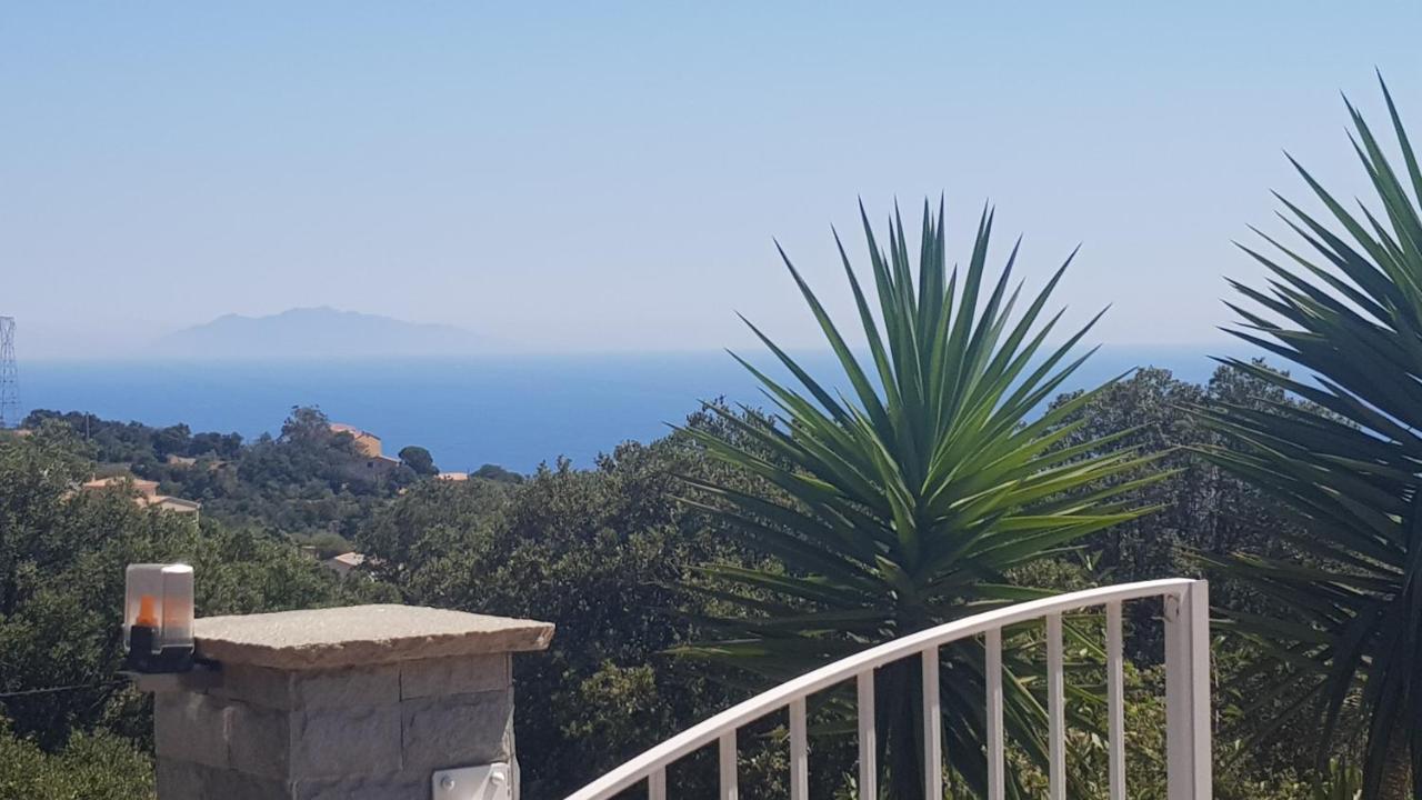 Bas De Villa Chez Mr.Girolami Dominique Bastia  Eksteriør billede