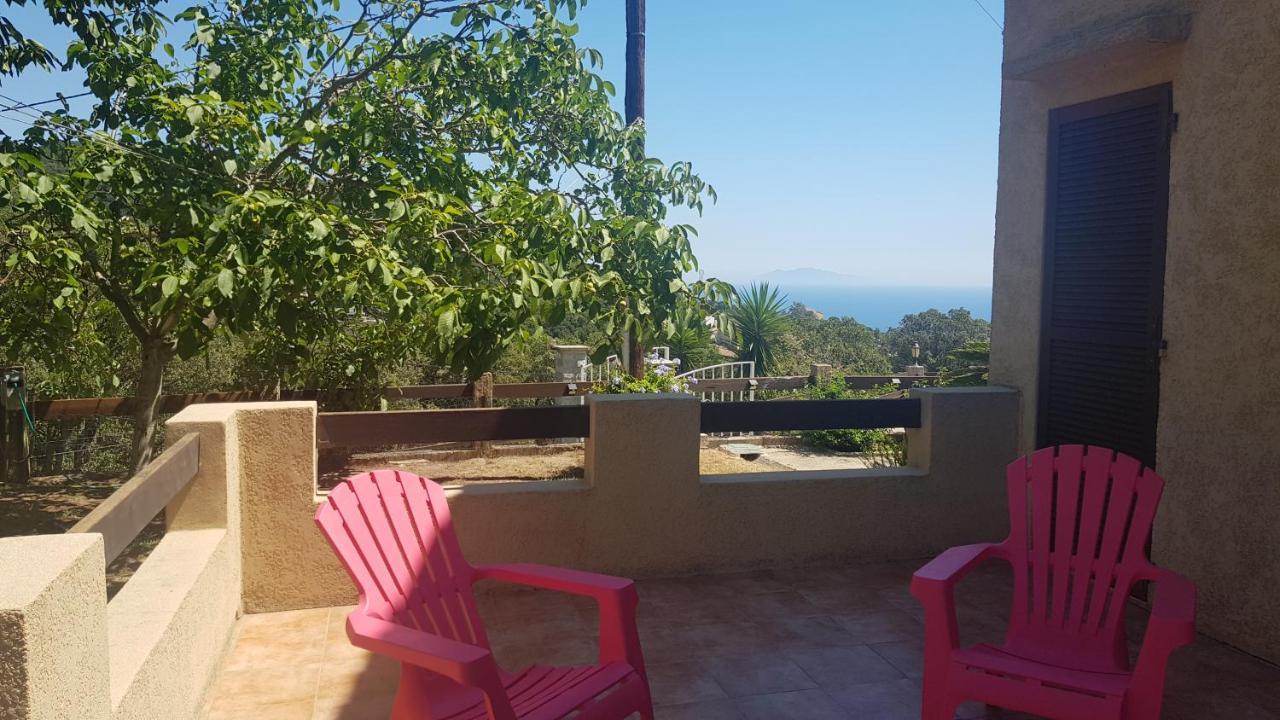 Bas De Villa Chez Mr.Girolami Dominique Bastia  Eksteriør billede