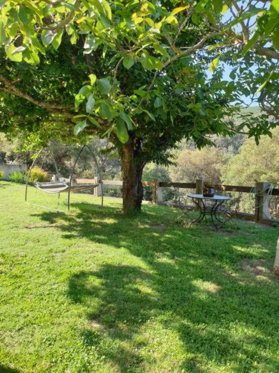 Bas De Villa Chez Mr.Girolami Dominique Bastia  Eksteriør billede